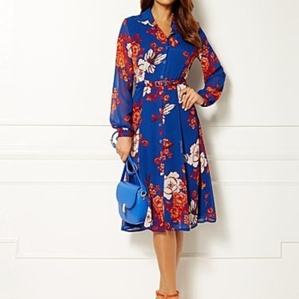 Eva Mendes for New York & Company Red and Blue Floral Dress